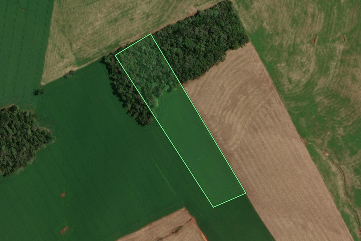 Imagem de satélite do imóvel rural em Ibiaçá (RS), com o contorno declarado no CAR desenhado por cima.