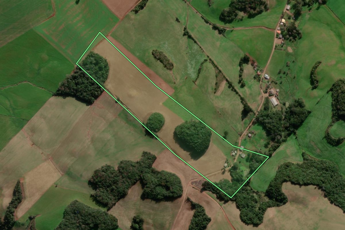 Imagem de satélite do imóvel rural em Ibiaçá (RS), com o contorno declarado no CAR desenhado por cima.