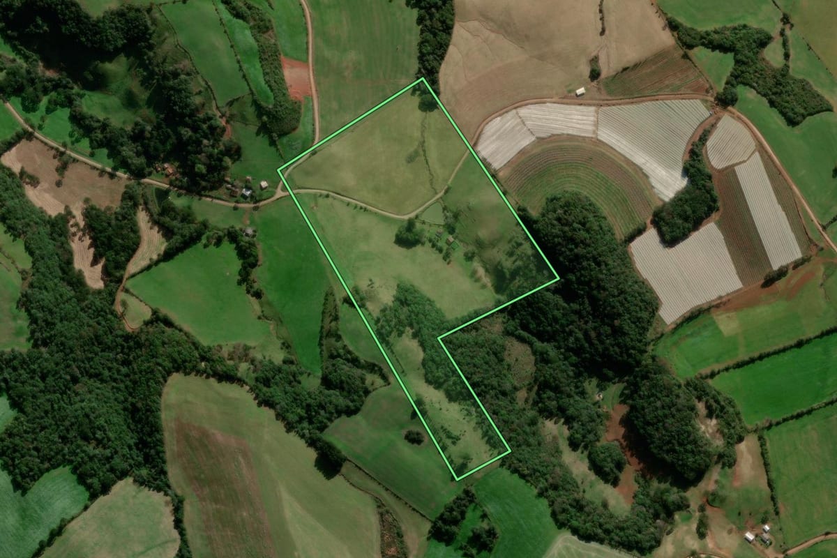 Imagem de satélite do imóvel rural em Ibiaçá (RS), com o contorno declarado no CAR desenhado por cima.