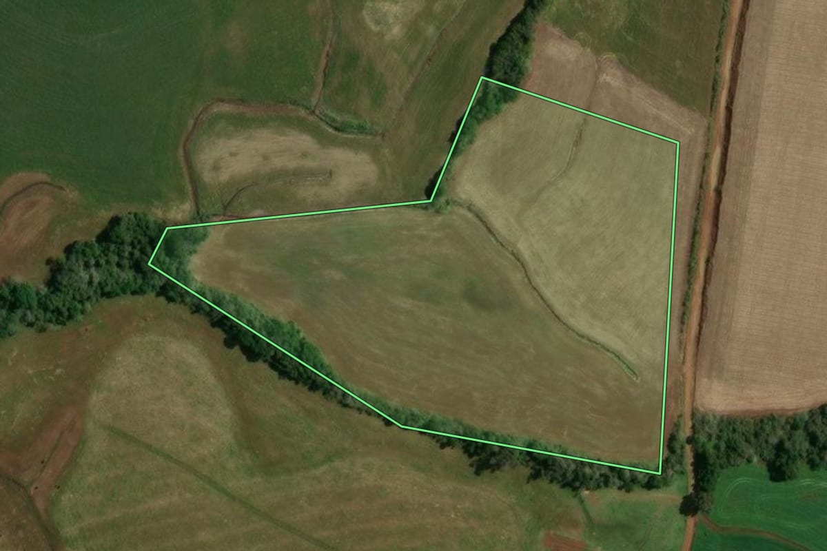Imagem de satélite do imóvel rural em Ibiaçá (RS), com o contorno declarado no CAR desenhado por cima.
