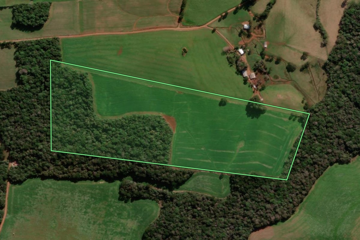 Imagem de satélite do imóvel rural em Ibiraiaras (RS), com o contorno declarado no CAR desenhado por cima.