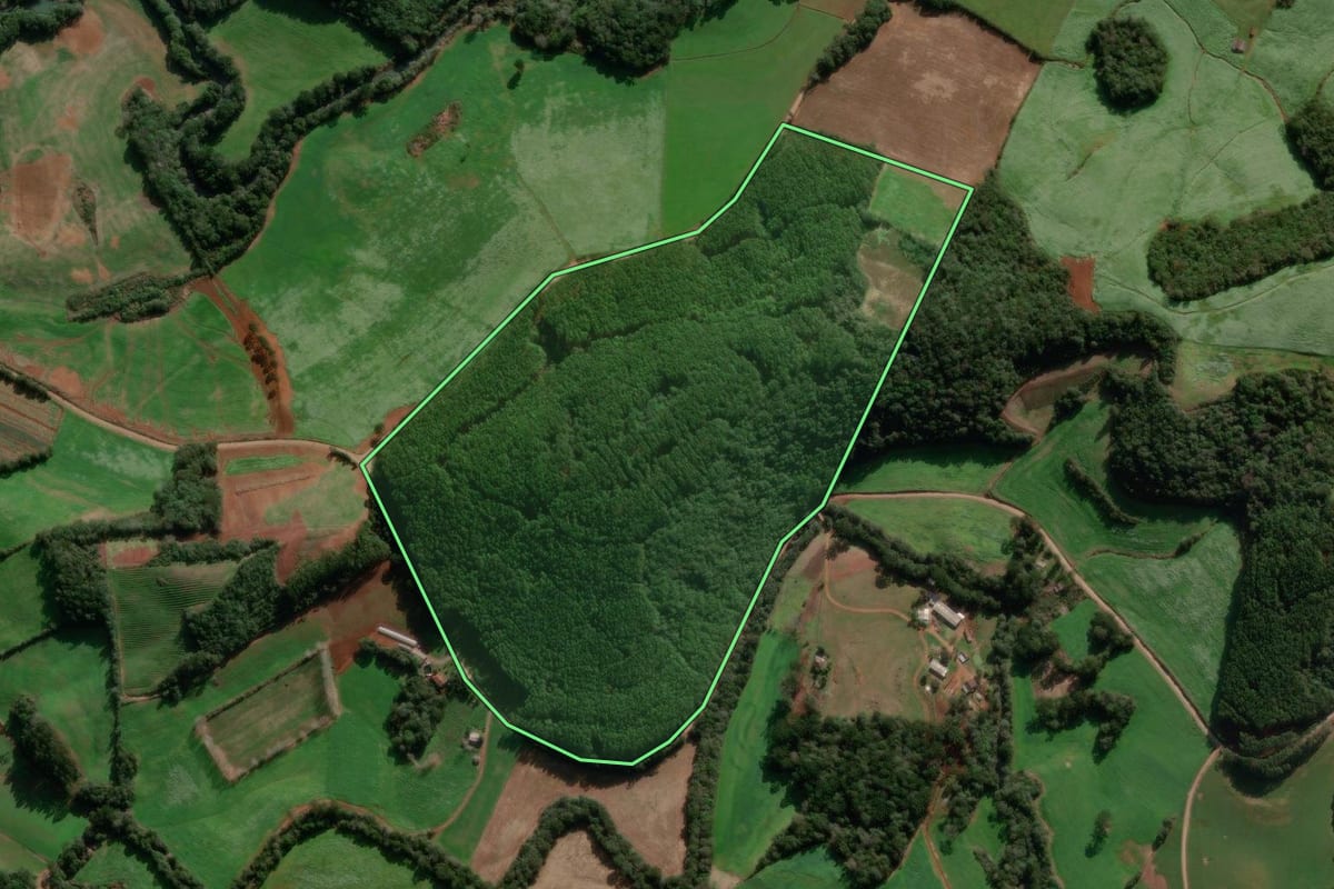 Imagem de satélite do imóvel rural em Ibiraiaras (RS), com o contorno declarado no CAR desenhado por cima.