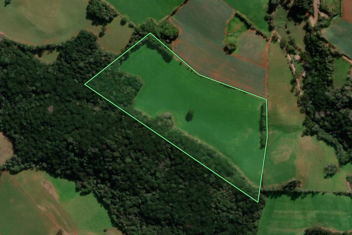 Imagem de satélite do imóvel rural em Ibiraiaras (RS), com o contorno declarado no CAR desenhado por cima.