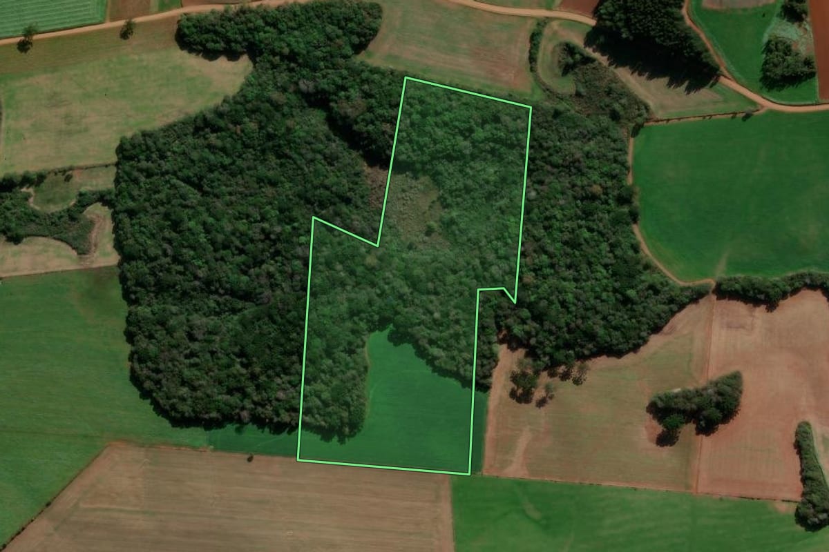 Imagem de satélite do imóvel rural em Ibiraiaras (RS), com o contorno declarado no CAR desenhado por cima.