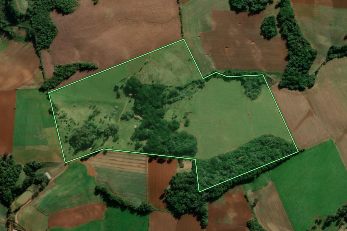 Imagem de satélite do imóvel rural em Ibiraiaras (RS), com o contorno declarado no CAR desenhado por cima.
