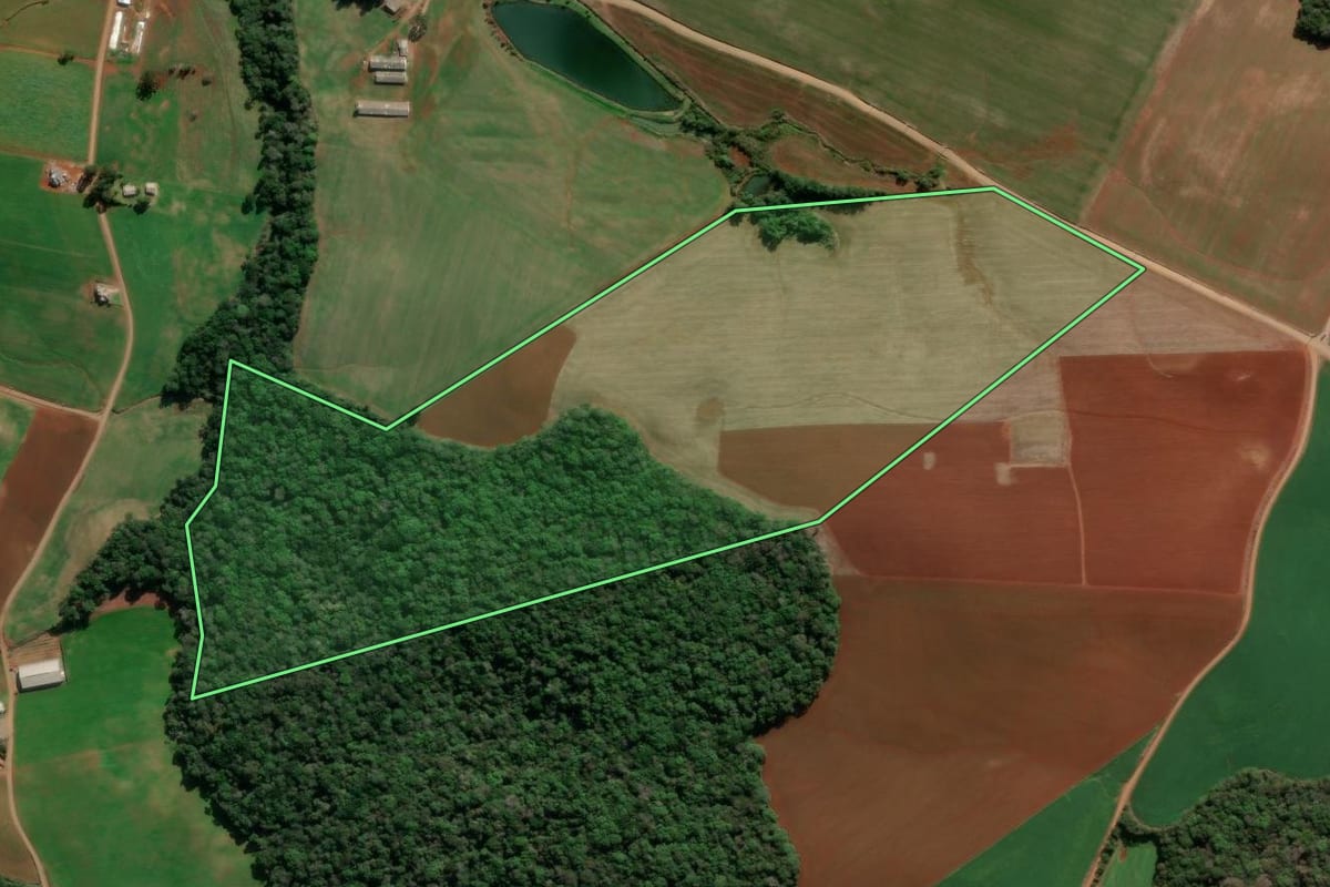 Imagem de satélite do imóvel rural em Ibiraiaras (RS), com o contorno declarado no CAR desenhado por cima.