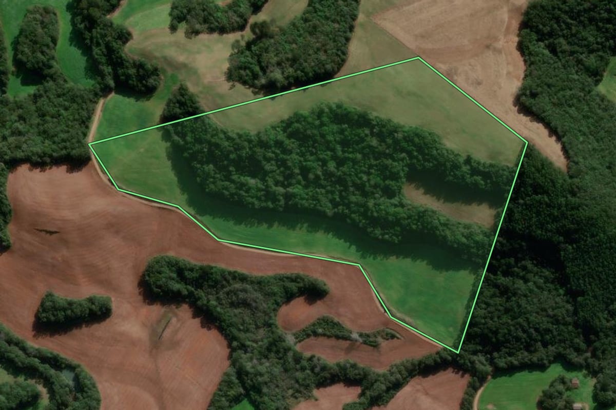 Imagem de satélite do imóvel rural em Ibiraiaras (RS), com o contorno declarado no CAR desenhado por cima.