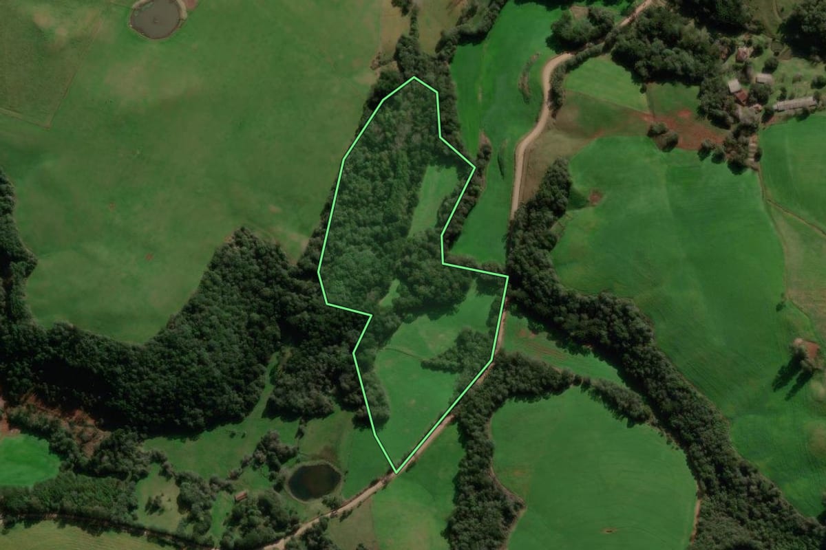 Imagem de satélite do imóvel rural em Ibiraiaras (RS), com o contorno declarado no CAR desenhado por cima.