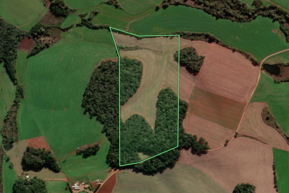 Imagem de satélite do imóvel rural em Ibiraiaras (RS), com o contorno declarado no CAR desenhado por cima.