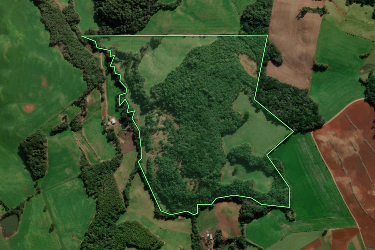 Imagem de satélite do imóvel rural em Ibiraiaras (RS), com o contorno declarado no CAR desenhado por cima.