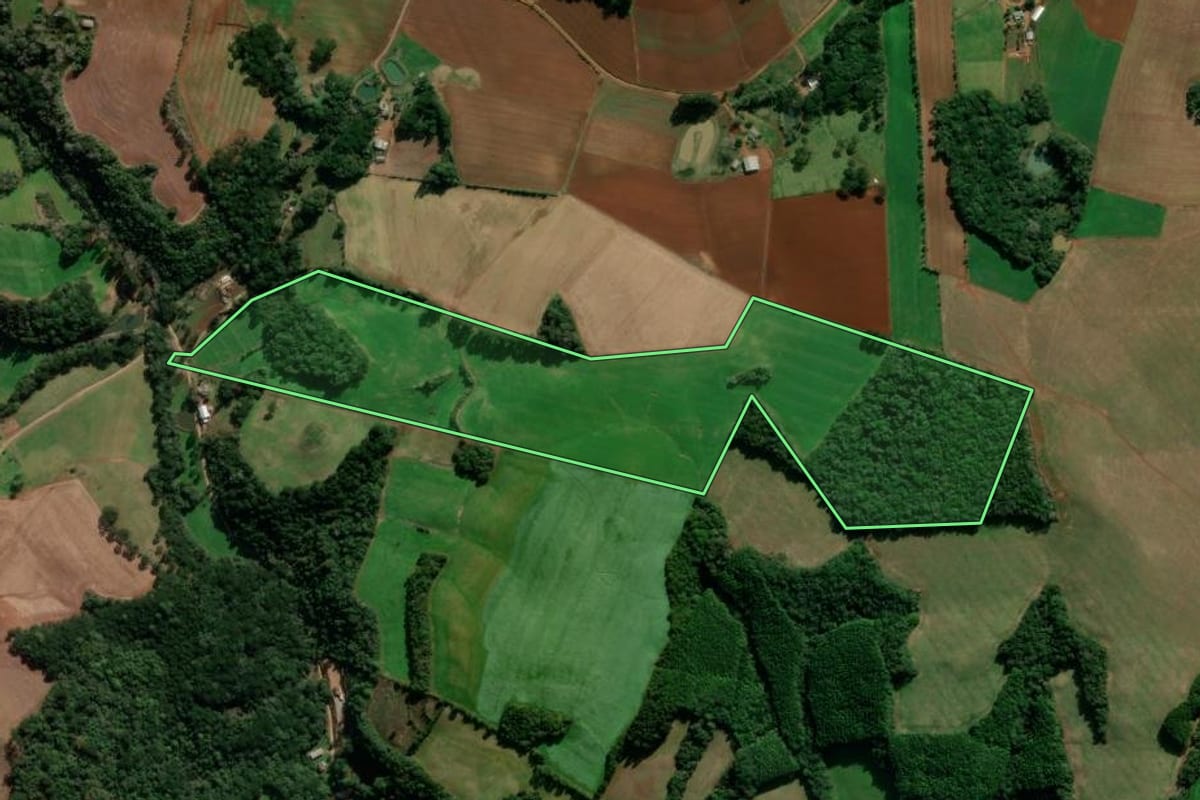 Imagem de satélite do imóvel rural em Ibiraiaras (RS), com o contorno declarado no CAR desenhado por cima.