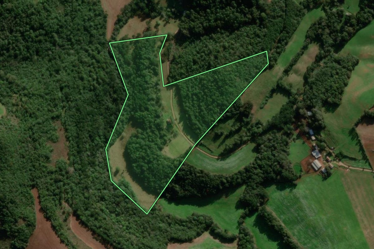 Imagem de satélite do imóvel rural em Ibiraiaras (RS), com o contorno declarado no CAR desenhado por cima.