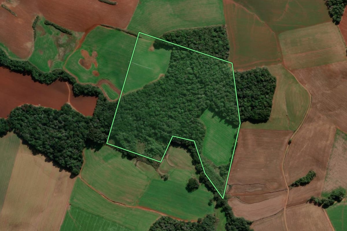 Imagem de satélite do imóvel rural em Ibiraiaras (RS), com o contorno declarado no CAR desenhado por cima.