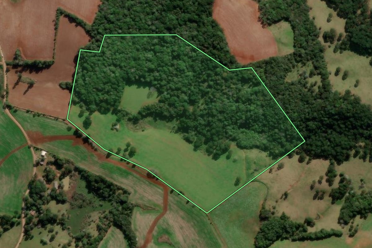Imagem de satélite do imóvel rural em Ibiraiaras (RS), com o contorno declarado no CAR desenhado por cima.