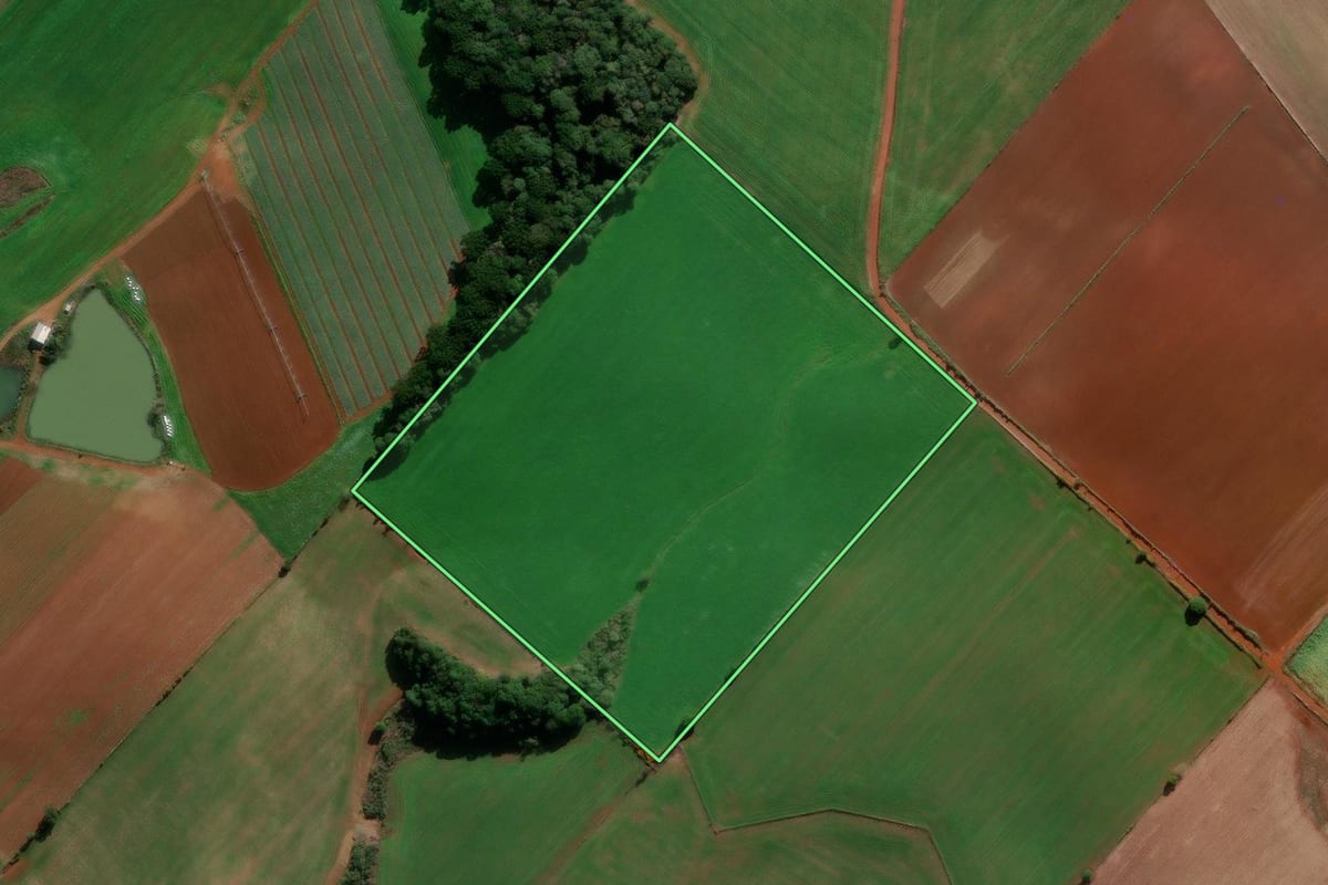 Imagem de satélite do imóvel rural em Ibiraiaras (RS), com o contorno declarado no CAR desenhado por cima.