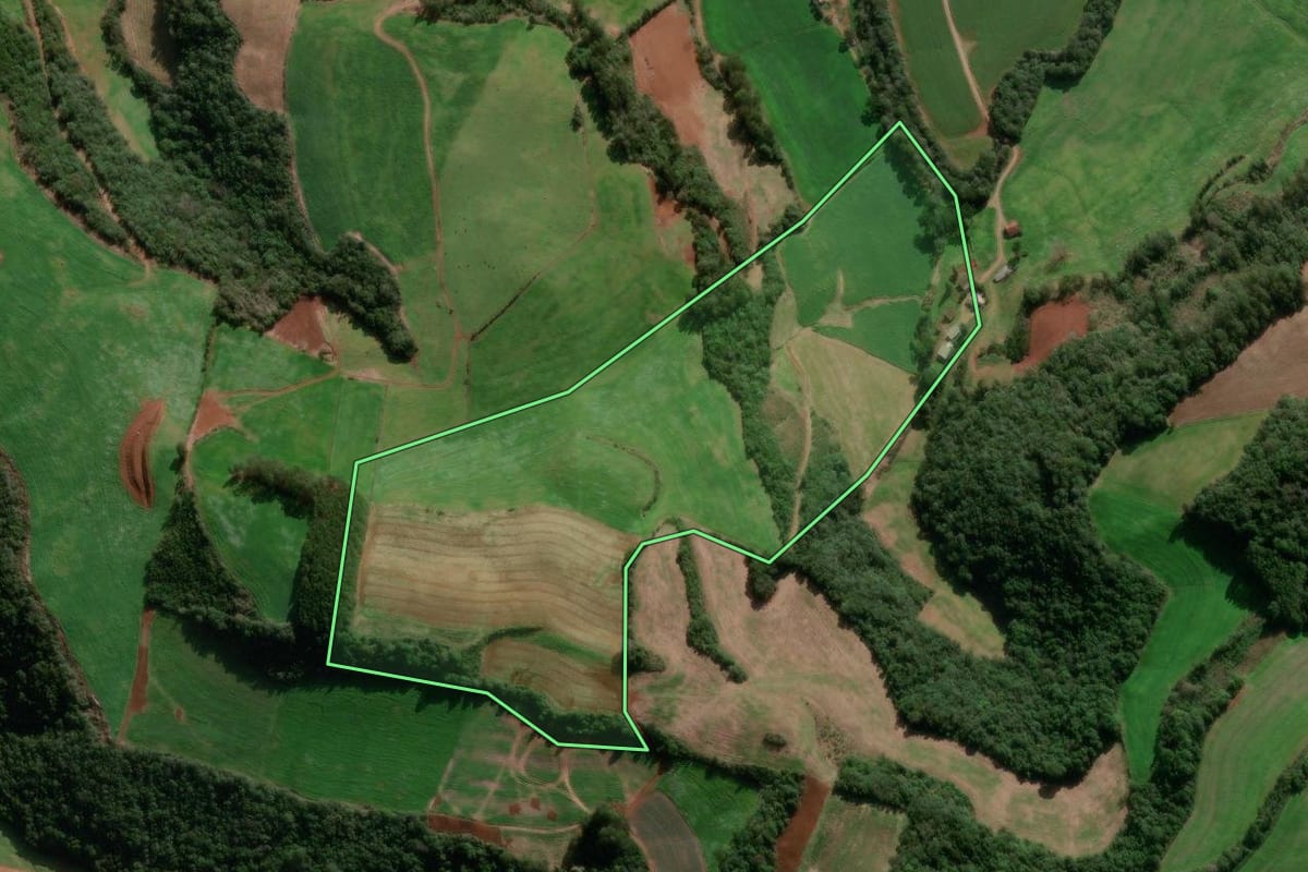 Imagem de satélite do imóvel rural em Ibiraiaras (RS), com o contorno declarado no CAR desenhado por cima.
