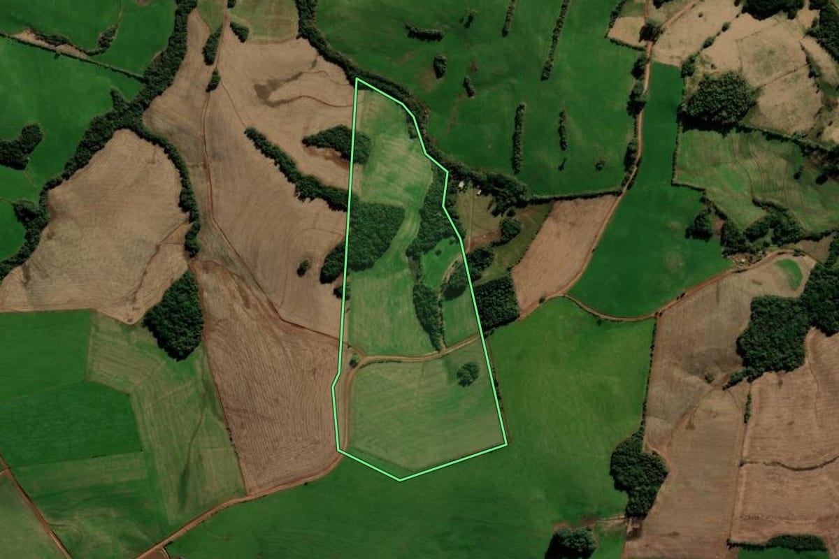 Imagem de satélite do imóvel rural em Ibirapuitã (RS), com o contorno declarado no CAR desenhado por cima.