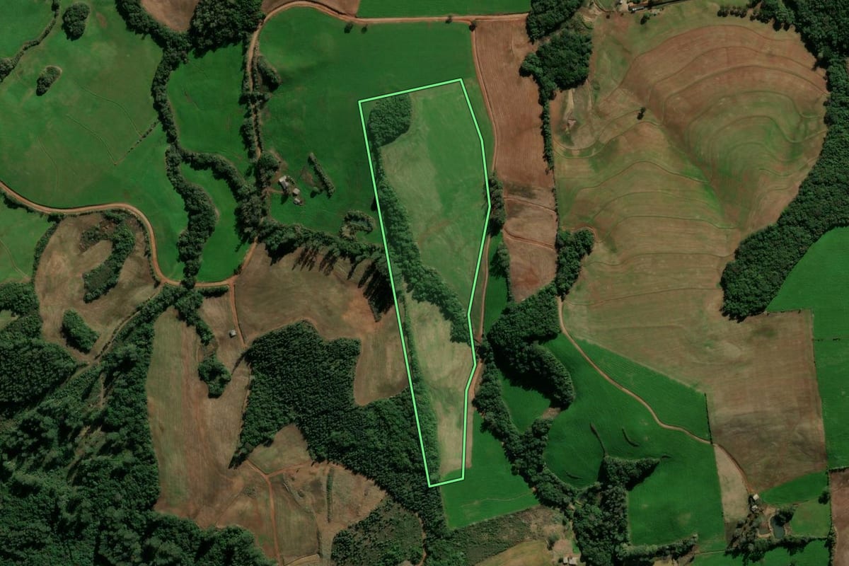 Imagem de satélite do imóvel rural em Ibirapuitã (RS), com o contorno declarado no CAR desenhado por cima.