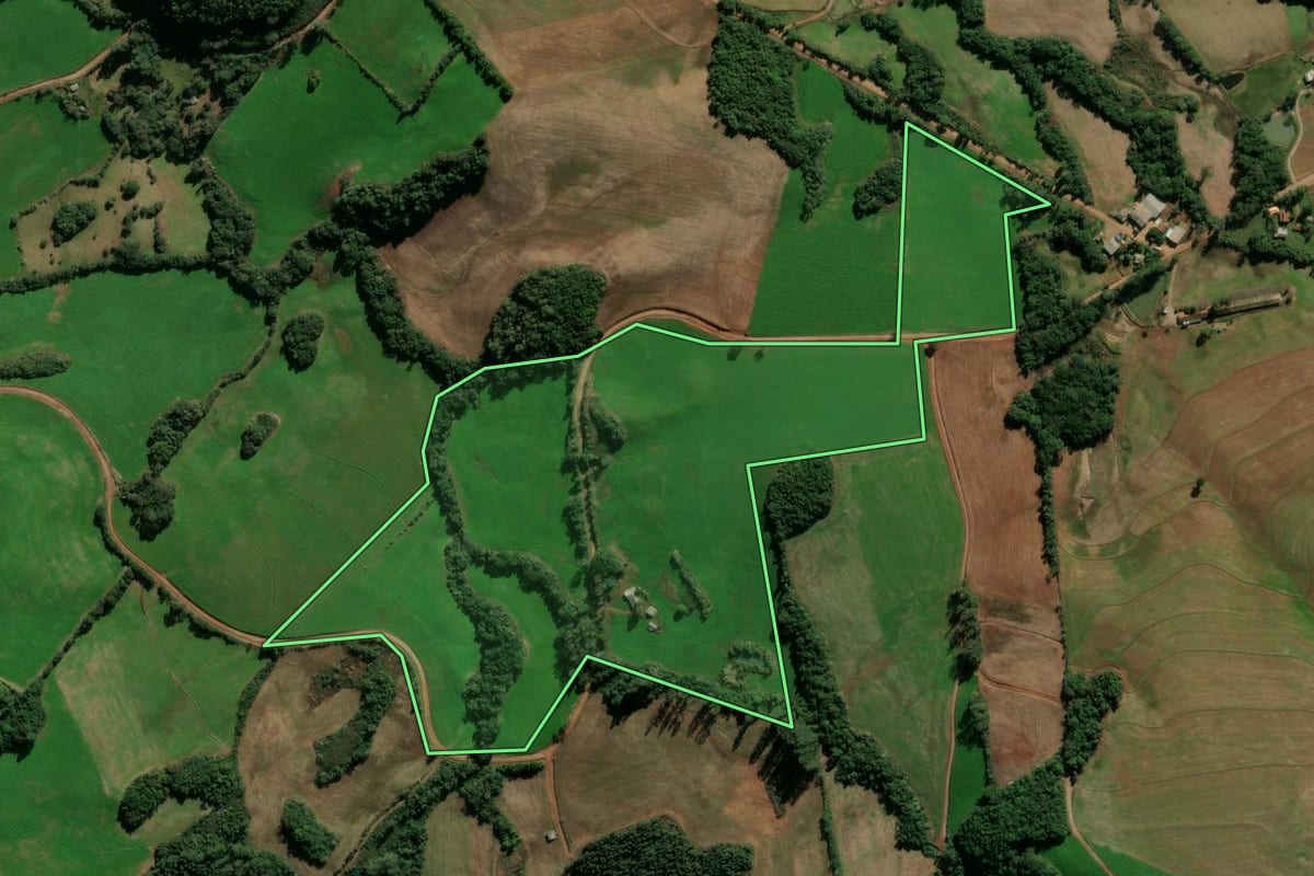 Imagem de satélite do imóvel rural em Ibirapuitã (RS), com o contorno declarado no CAR desenhado por cima.