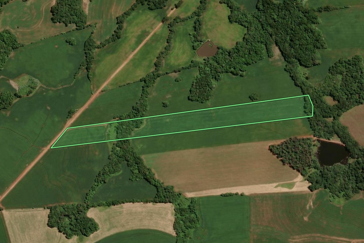 Imagem de satélite do imóvel rural em Ibirapuitã (RS), com o contorno declarado no CAR desenhado por cima.