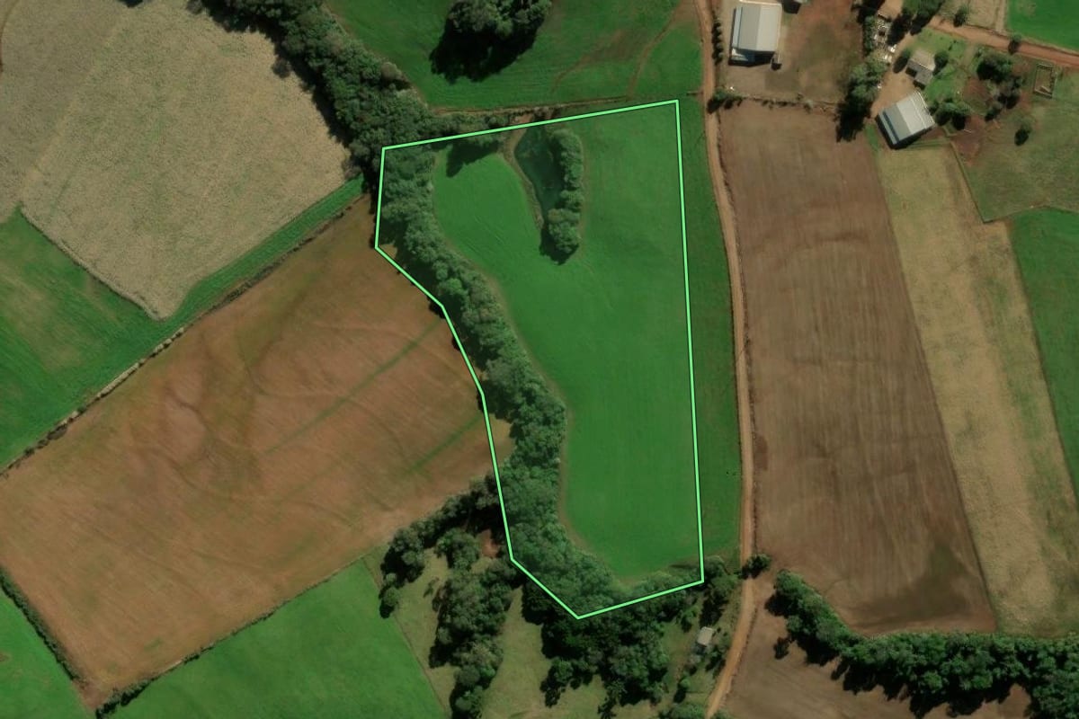 Imagem de satélite do imóvel rural em Ibirapuitã (RS), com o contorno declarado no CAR desenhado por cima.