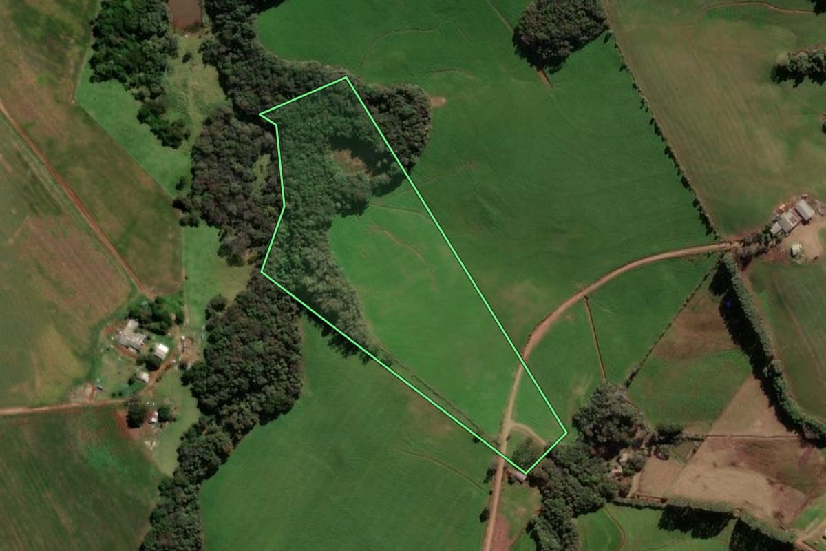 Imagem de satélite do imóvel rural em Ibirapuitã (RS), com o contorno declarado no CAR desenhado por cima.