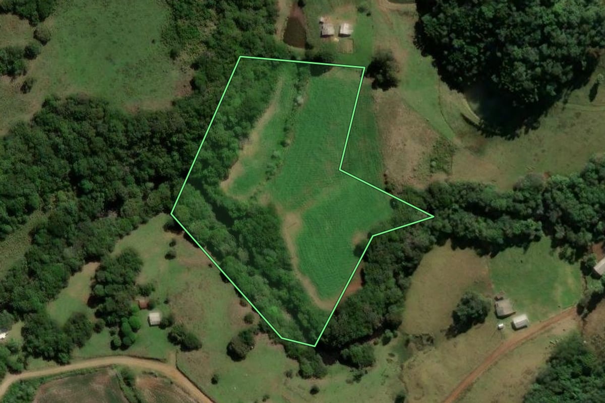 Imagem de satélite do imóvel rural em Ibirapuitã (RS), com o contorno declarado no CAR desenhado por cima.