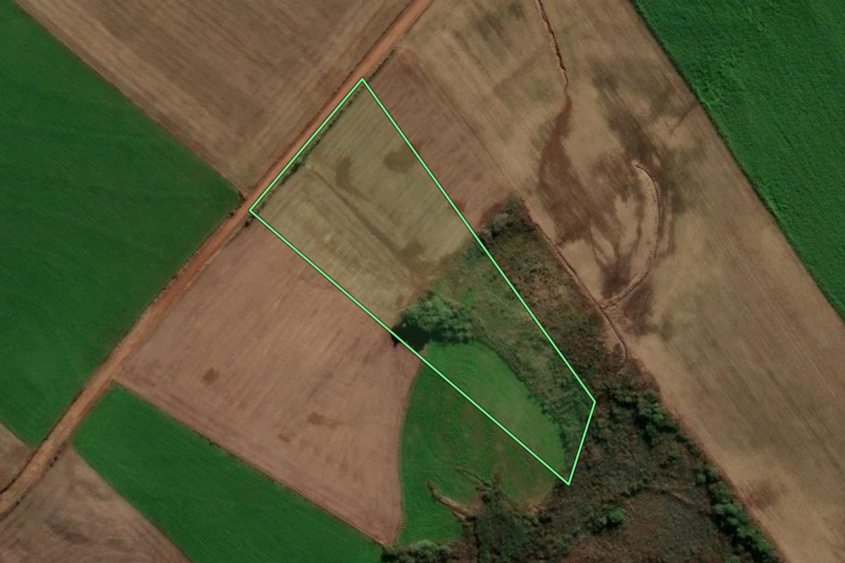 Imagem de satélite do imóvel rural em Ibirapuitã (RS), com o contorno declarado no CAR desenhado por cima.
