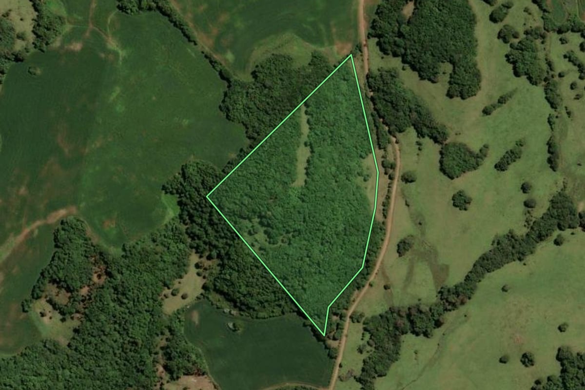 Imagem de satélite do imóvel rural em Ibirapuitã (RS), com o contorno declarado no CAR desenhado por cima.
