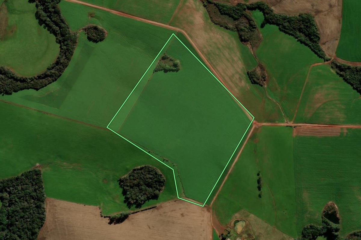 Imagem de satélite do imóvel rural em Ibirapuitã (RS), com o contorno declarado no CAR desenhado por cima.