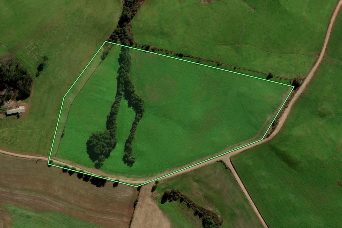 Imagem de satélite do imóvel rural em Ibirapuitã (RS), com o contorno declarado no CAR desenhado por cima.