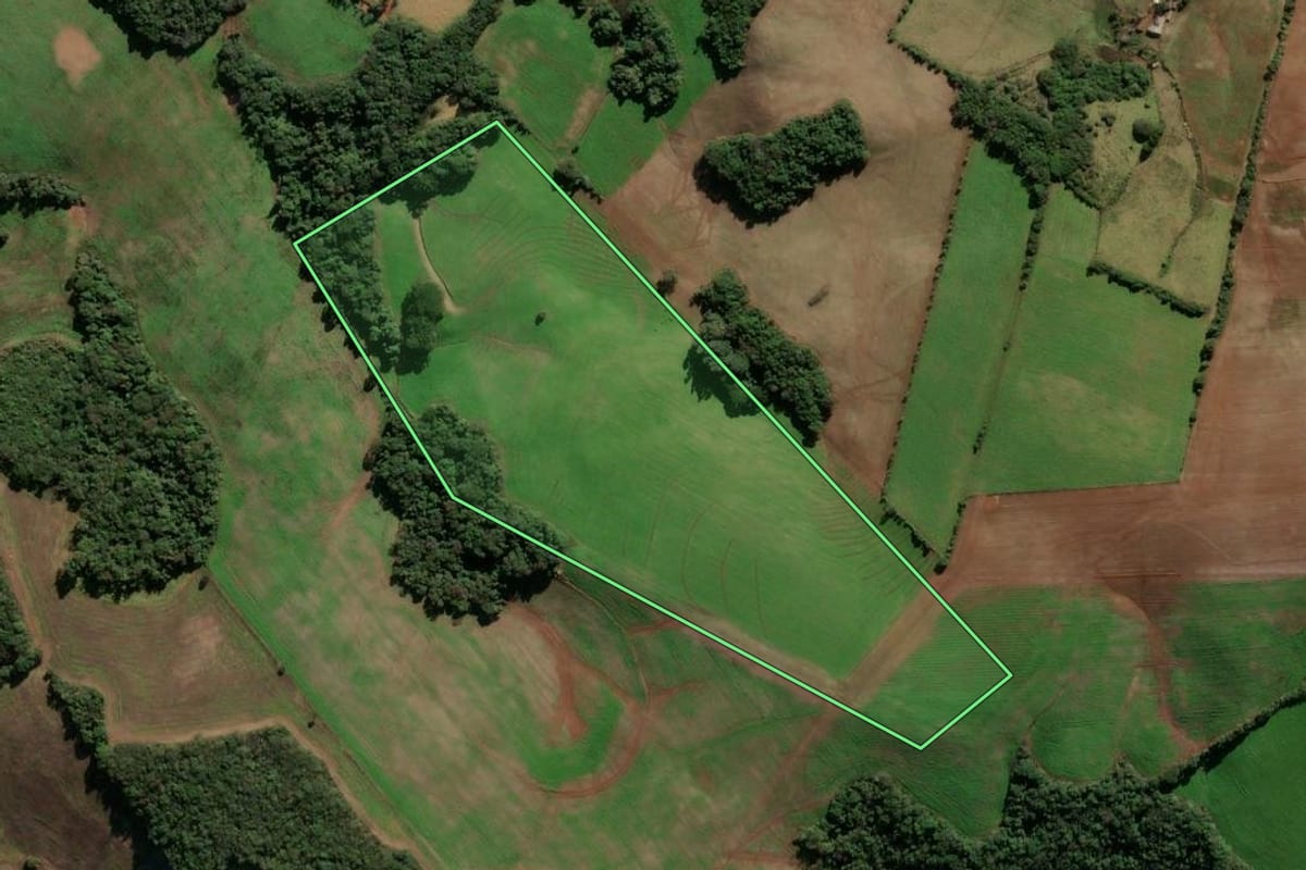 Imagem de satélite do imóvel rural em Ibirapuitã (RS), com o contorno declarado no CAR desenhado por cima.