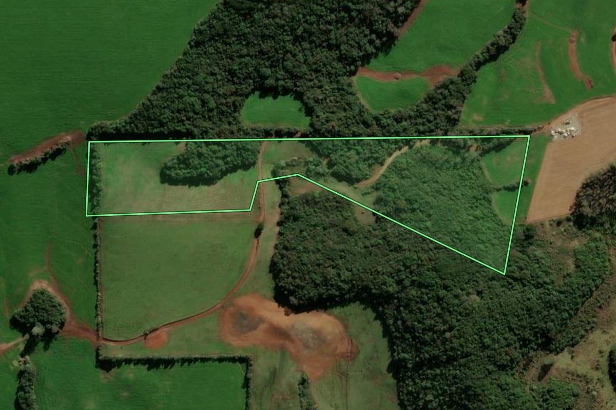 Imagem de satélite do imóvel rural em Ibirapuitã (RS), com o contorno declarado no CAR desenhado por cima.