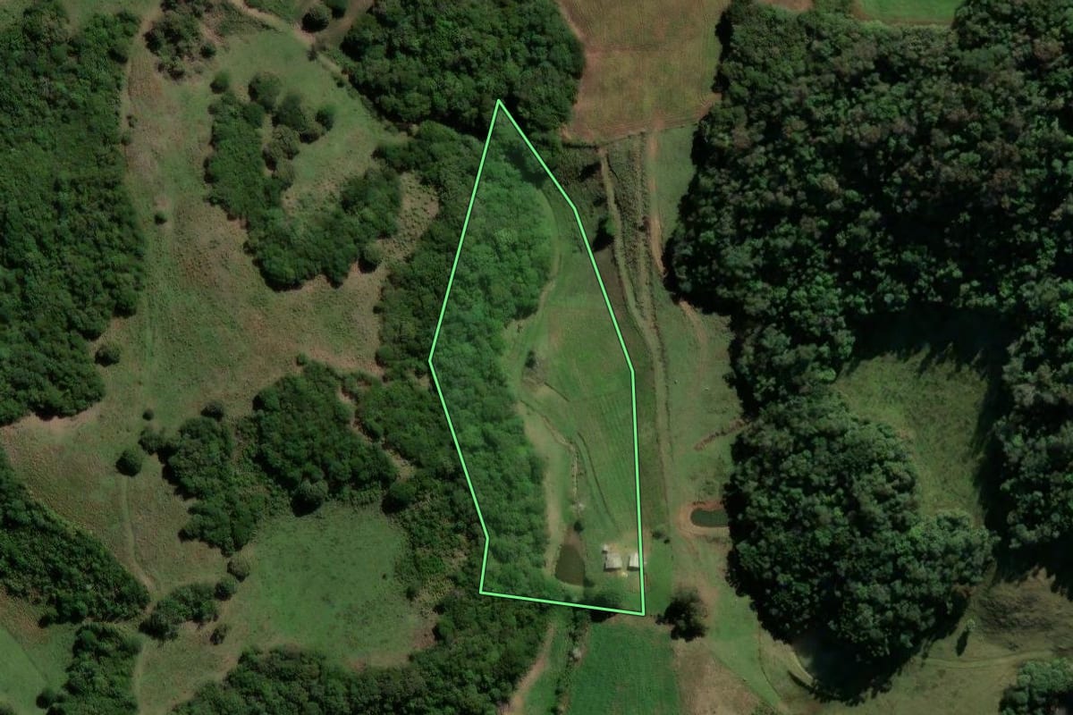 Imagem de satélite do imóvel rural em Ibirapuitã (RS), com o contorno declarado no CAR desenhado por cima.