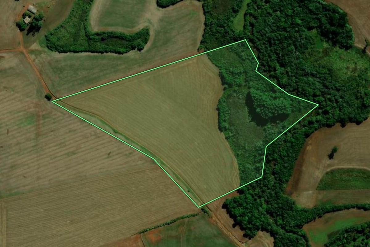 Imagem de satélite do imóvel rural em Ibirubá (RS), com o contorno declarado no CAR desenhado por cima.