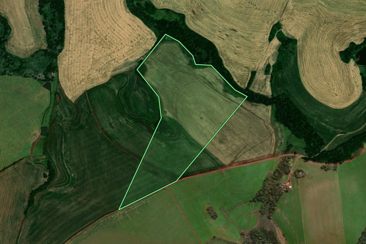Imagem de satélite do imóvel rural em Ibirubá (RS), com o contorno declarado no CAR desenhado por cima.