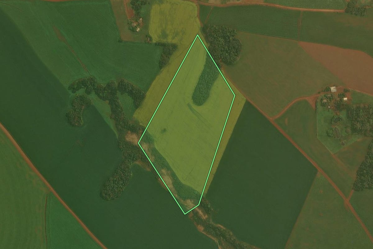 Imagem de satélite do imóvel rural em Ibirubá (RS), com o contorno declarado no CAR desenhado por cima.