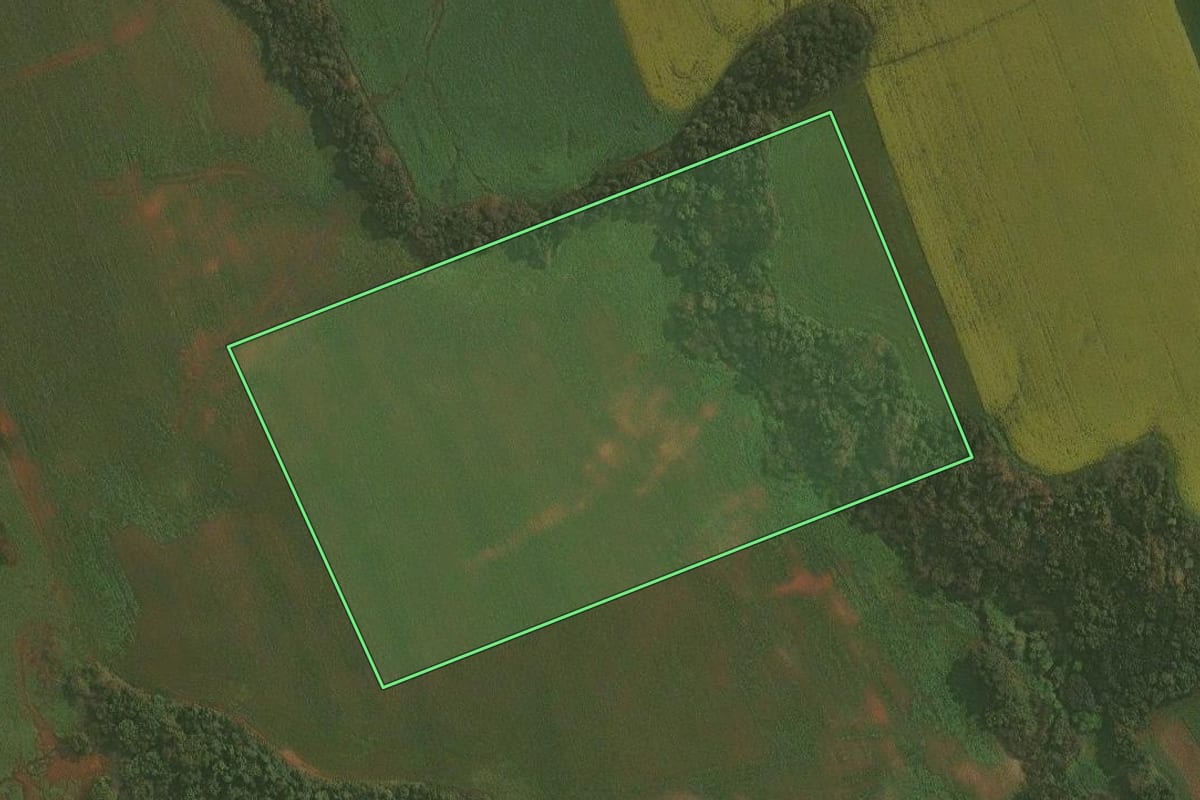 Imagem de satélite do imóvel rural em Ibirubá (RS), com o contorno declarado no CAR desenhado por cima.