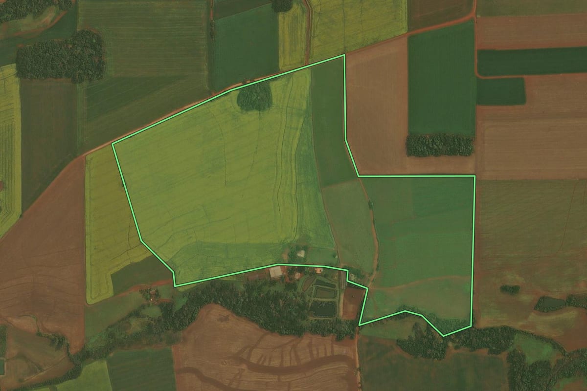 Imagem de satélite do imóvel rural em Ibirubá (RS), com o contorno declarado no CAR desenhado por cima.