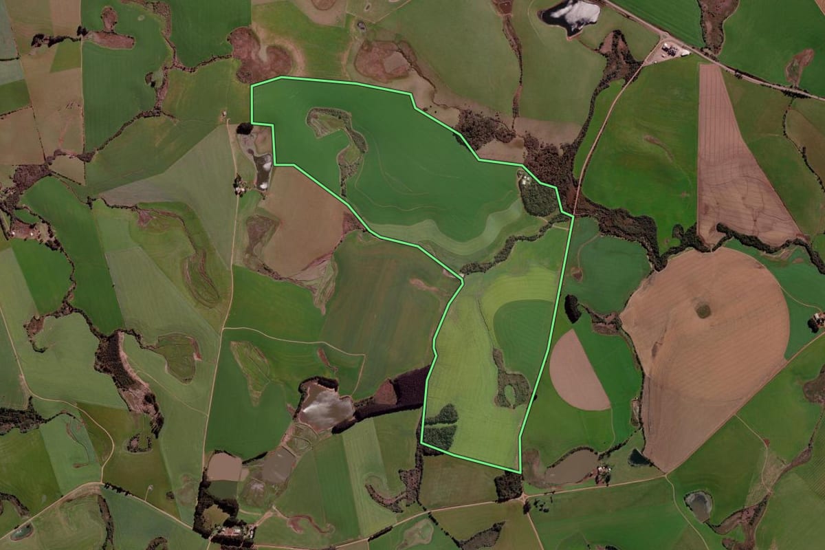 Imagem de satélite do imóvel rural em Ibirubá (RS), com o contorno declarado no CAR desenhado por cima.