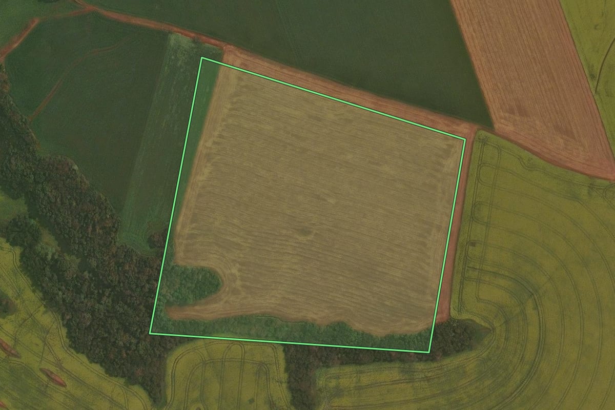Imagem de satélite do imóvel rural em Ibirubá (RS), com o contorno declarado no CAR desenhado por cima.