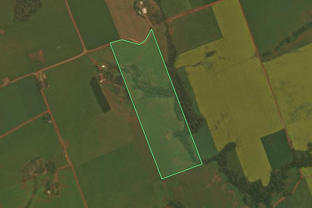Imagem de satélite do imóvel rural em Ibirubá (RS), com o contorno declarado no CAR desenhado por cima.