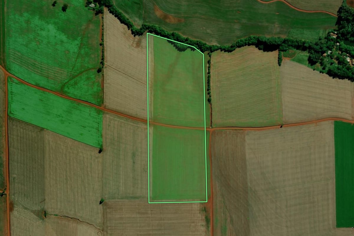 Imagem de satélite do imóvel rural em Ibirubá (RS), com o contorno declarado no CAR desenhado por cima.