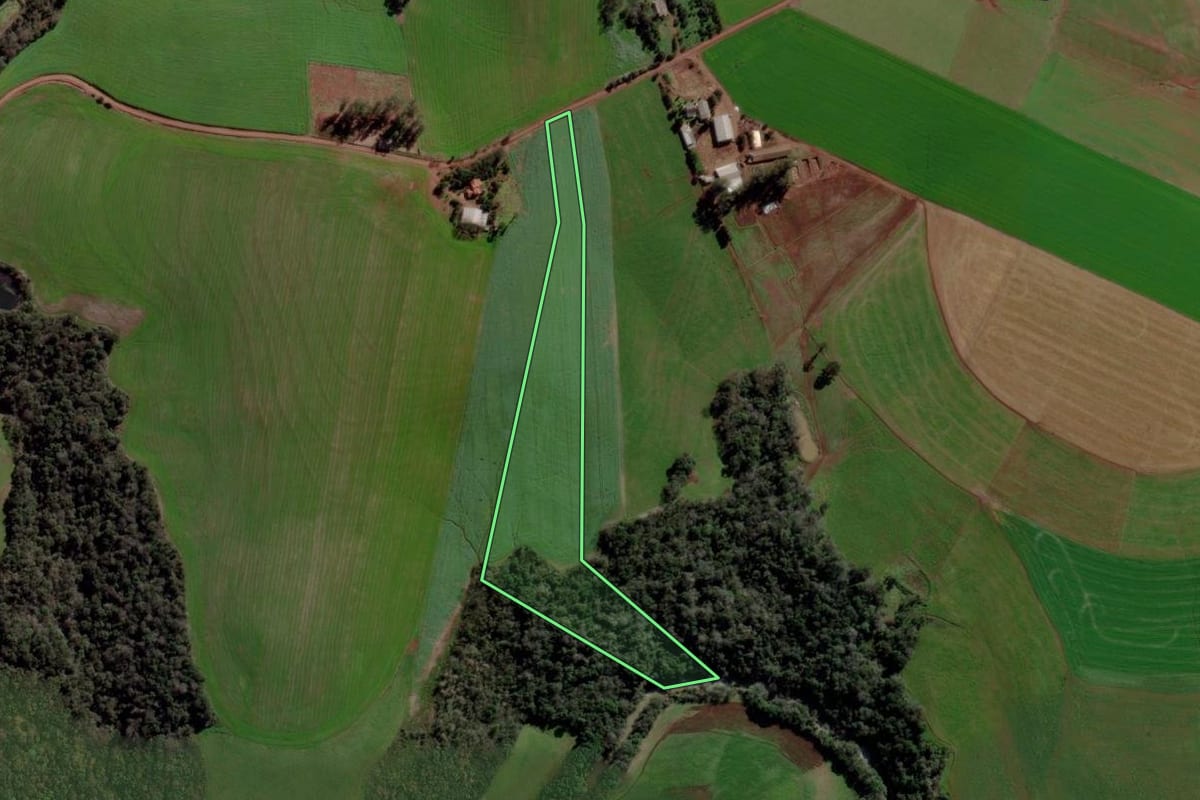 Imagem de satélite do imóvel rural em Ibirubá (RS), com o contorno declarado no CAR desenhado por cima.