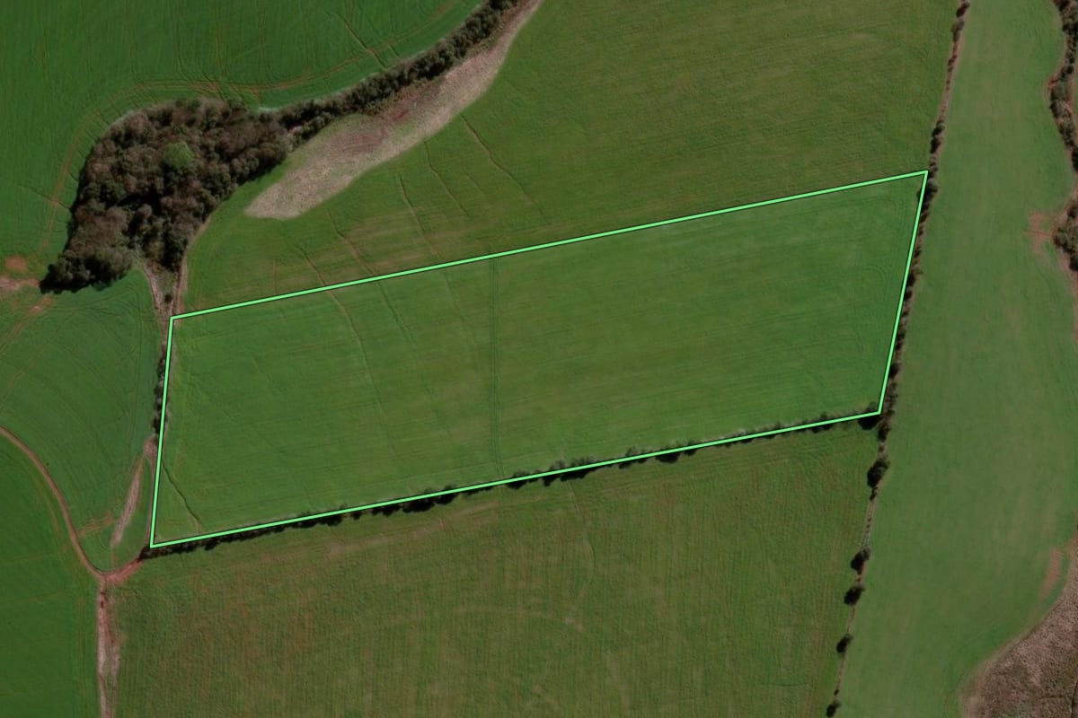 Imagem de satélite do imóvel rural em Ibirubá (RS), com o contorno declarado no CAR desenhado por cima.