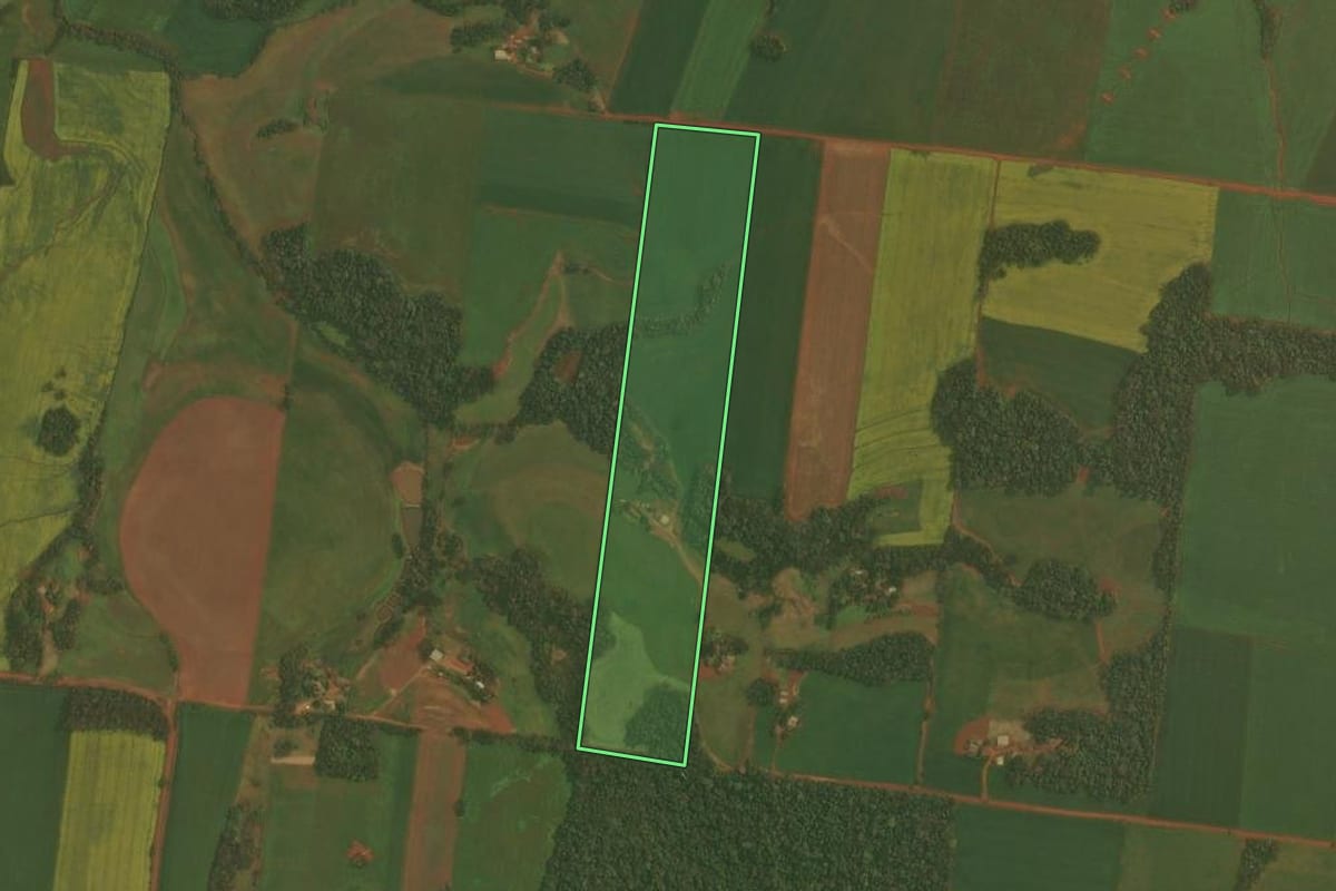Imagem de satélite do imóvel rural em Ibirubá (RS), com o contorno declarado no CAR desenhado por cima.