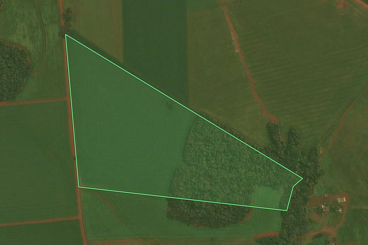 Imagem de satélite do imóvel rural em Ibirubá (RS), com o contorno declarado no CAR desenhado por cima.