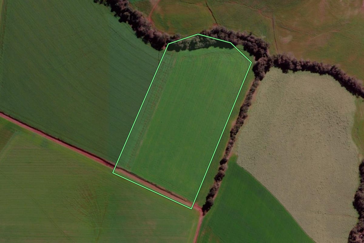 Imagem de satélite do imóvel rural em Ibirubá (RS), com o contorno declarado no CAR desenhado por cima.