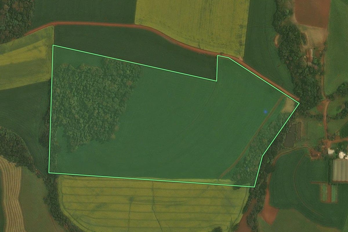 Imagem de satélite do imóvel rural em Ibirubá (RS), com o contorno declarado no CAR desenhado por cima.
