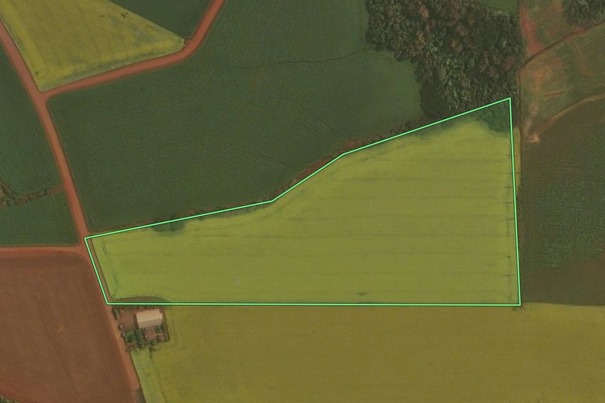 Imagem de satélite do imóvel rural em Ibirubá (RS), com o contorno declarado no CAR desenhado por cima.